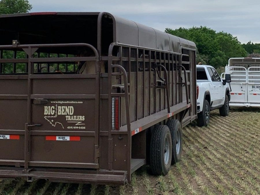 Big Bend Gooseneck Livestock Trailer