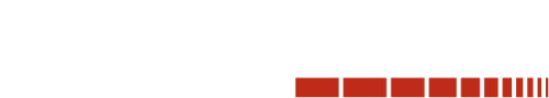 STRYKER DEALERSHIP GROUP logo